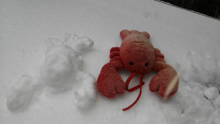 Travel Hippo and snow lobster